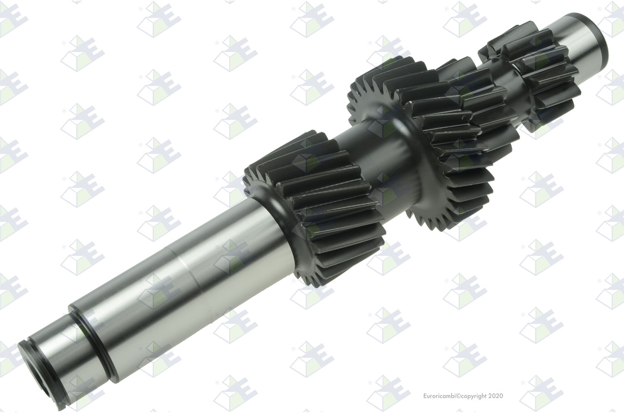 COUNTERSHAFT 12/12/29/22T suitable to EUROTEC 88001271