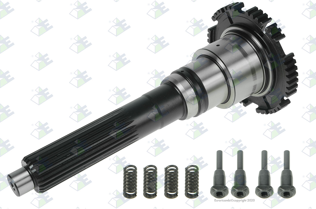 KIT SHAFT W/PINS+SPRINGS suitable to AM GEARS 61047