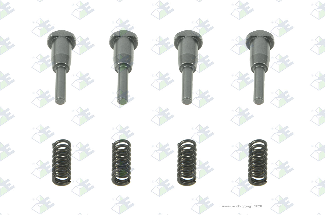 KIT PINS+SPRINGS suitable to AM GEARS 61063