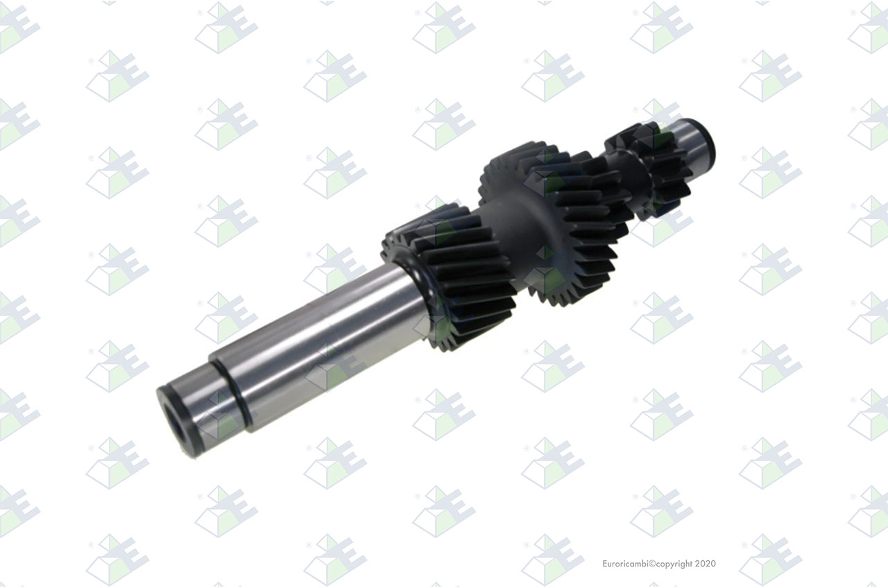 COUNTERSHAFT 12/12/29/22T suitable to EUROTEC 88001456