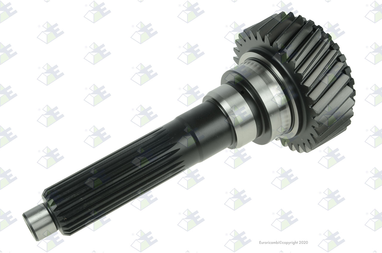 INPUT SHAFT 31 T. suitable to AM GEARS 65142