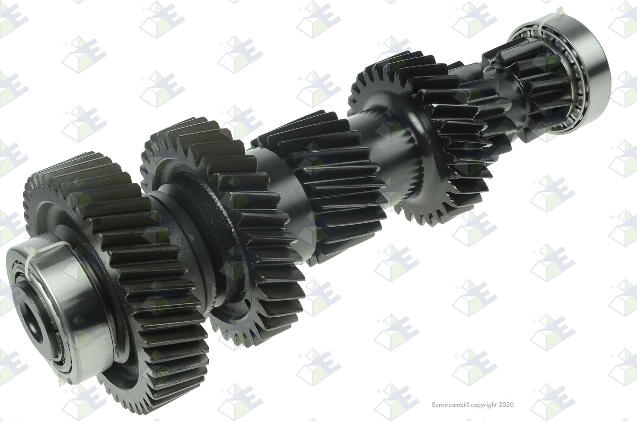 COUNTERSHAFT ASSY suitable to EUROTEC 88001979