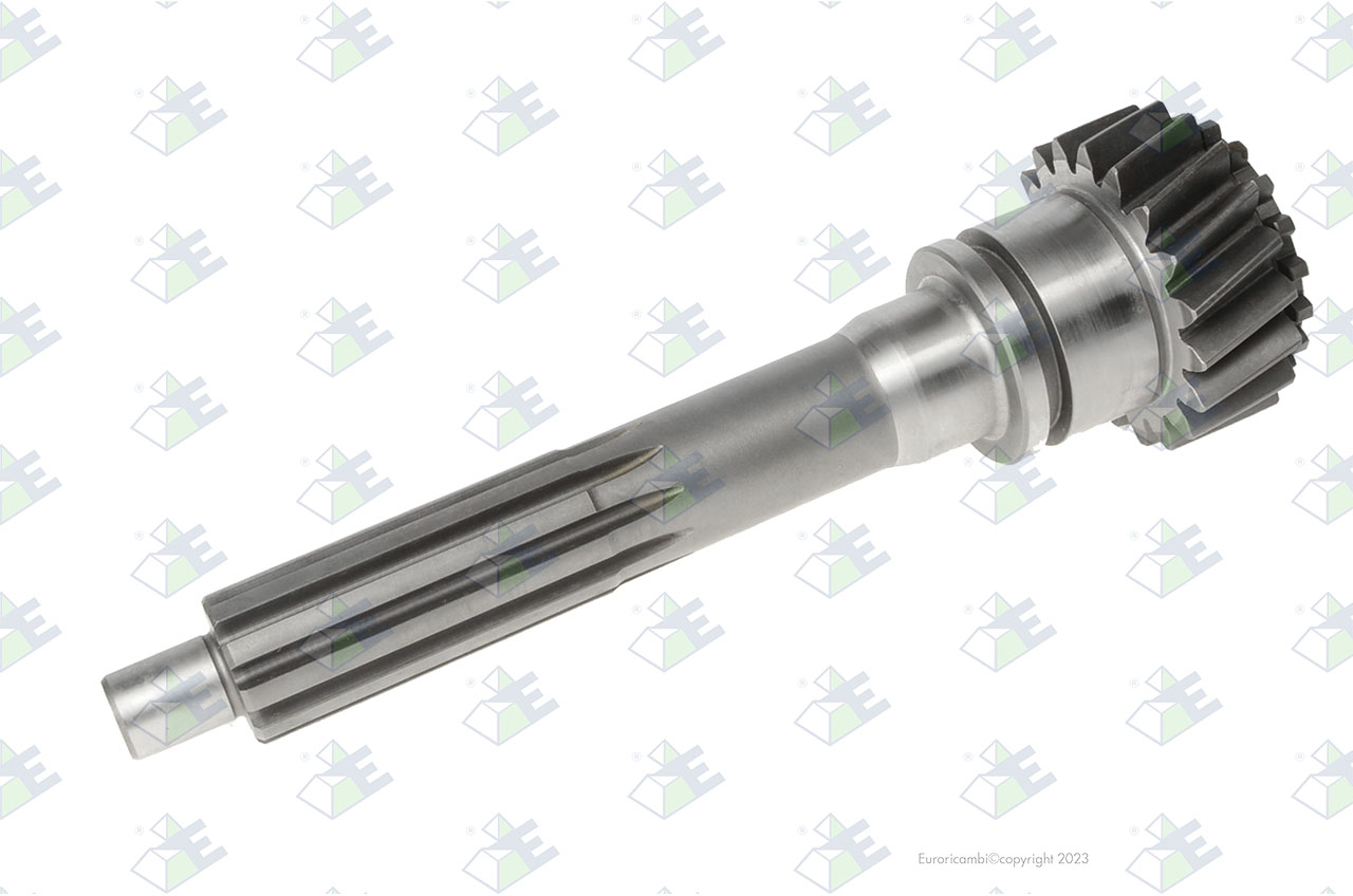 INPUT SHAFT 19 T. suitable to AM GEARS 76158