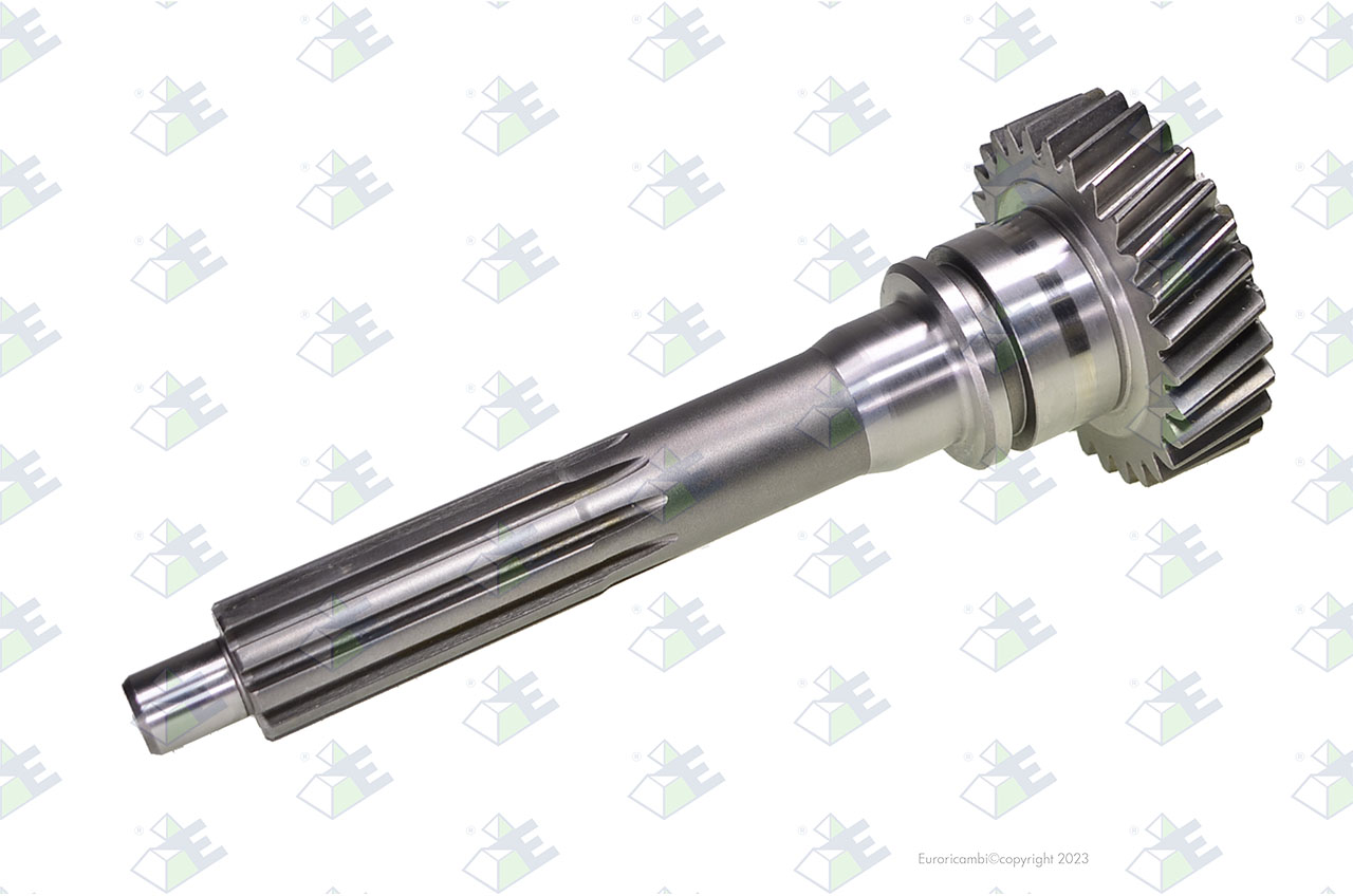 INPUT SHAFT 29 T. suitable to AM GEARS 76150