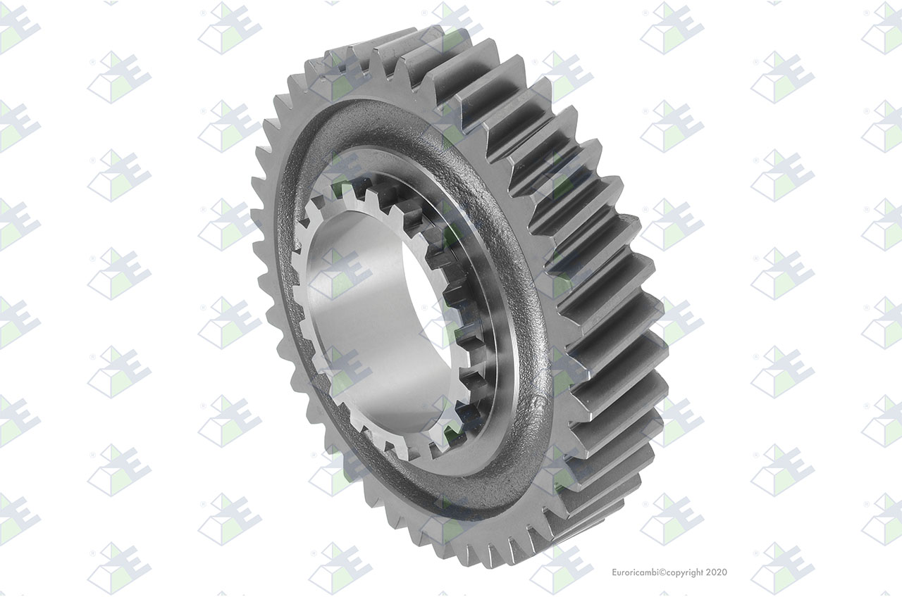 GEAR 1ST SPEED 41 T. suitable to EUROTEC 95000602