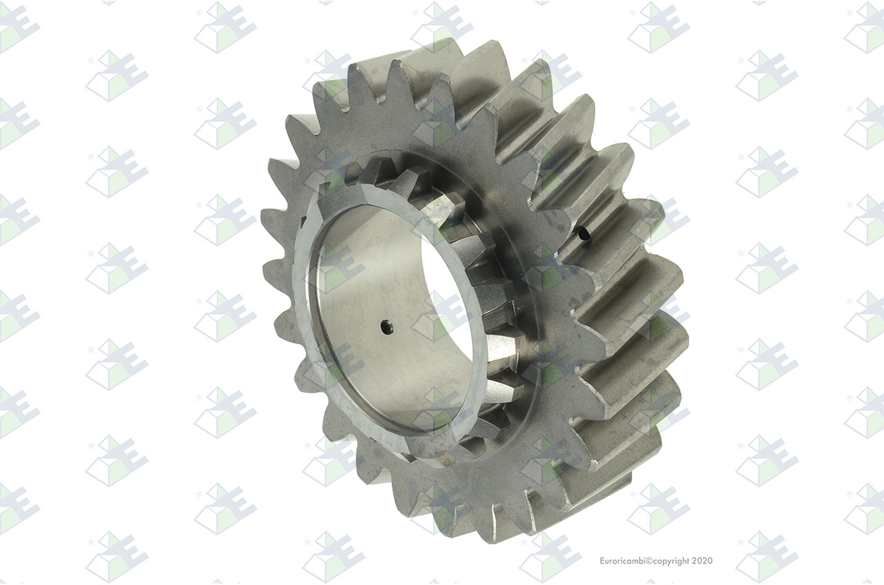 GEAR 5TH SPEED 24 T. suitable to AM GEARS 72302