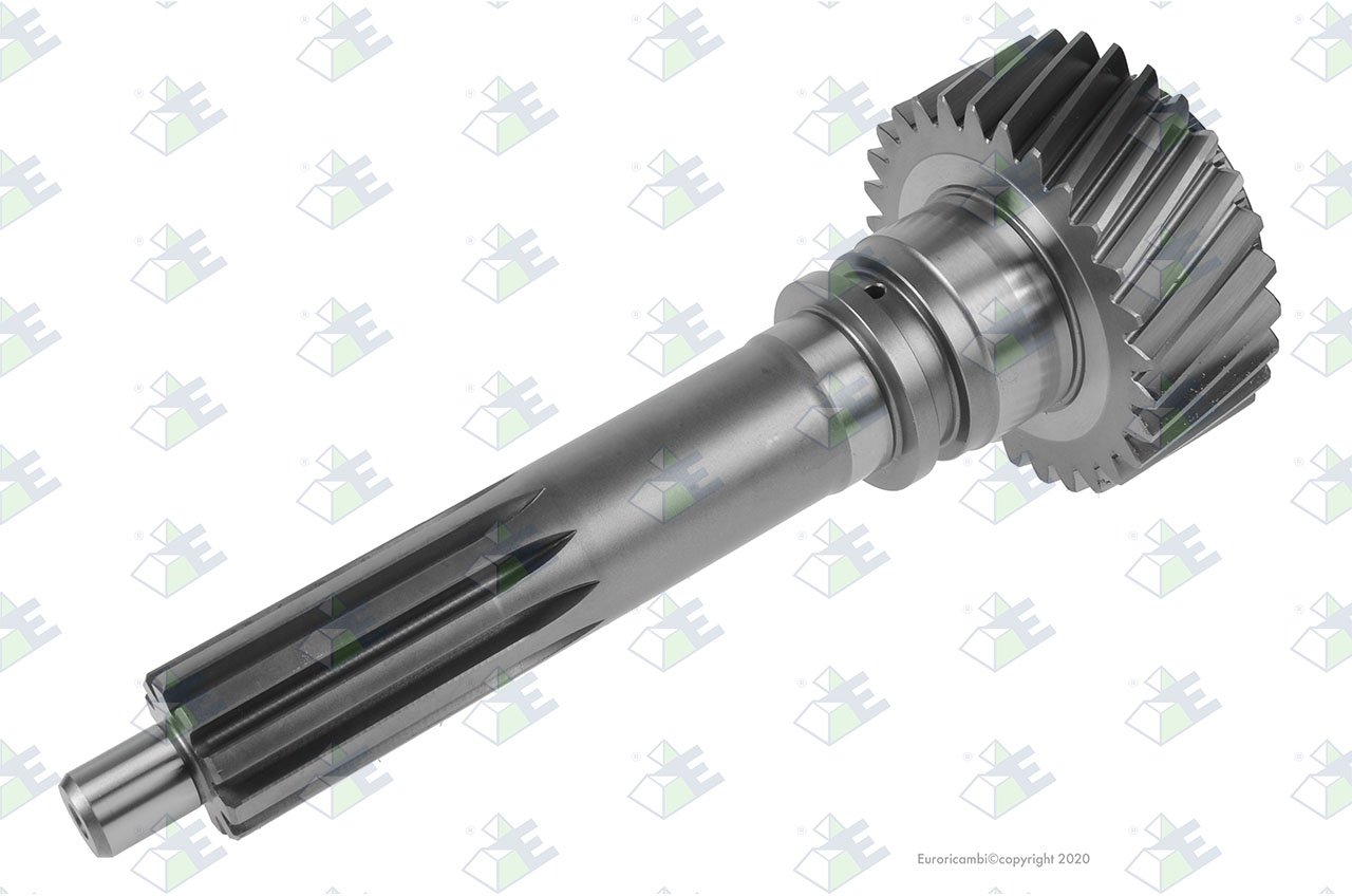 INPUT SHAFT 29 T. suitable to AM GEARS 76076