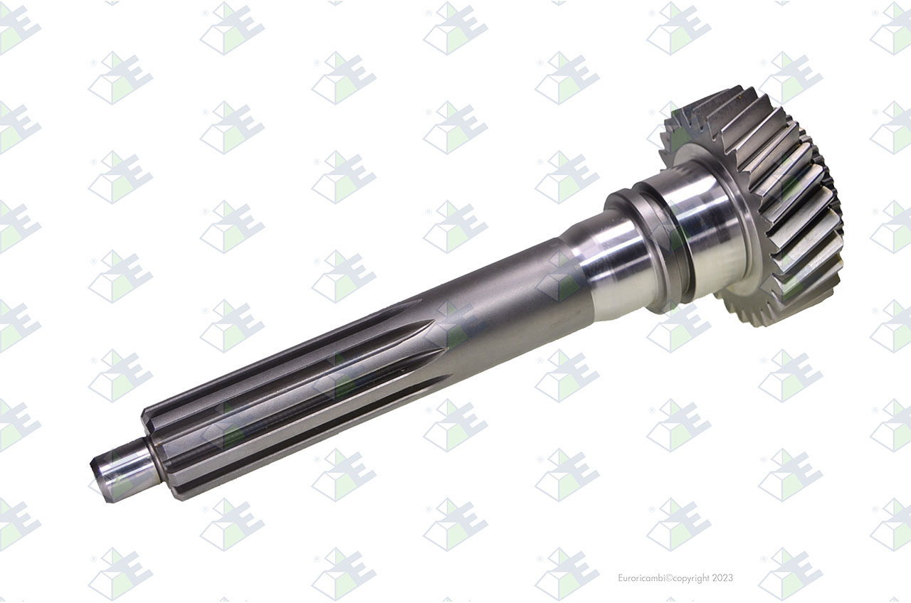 INPUT SHAFT 21 T. suitable to AM GEARS 76197