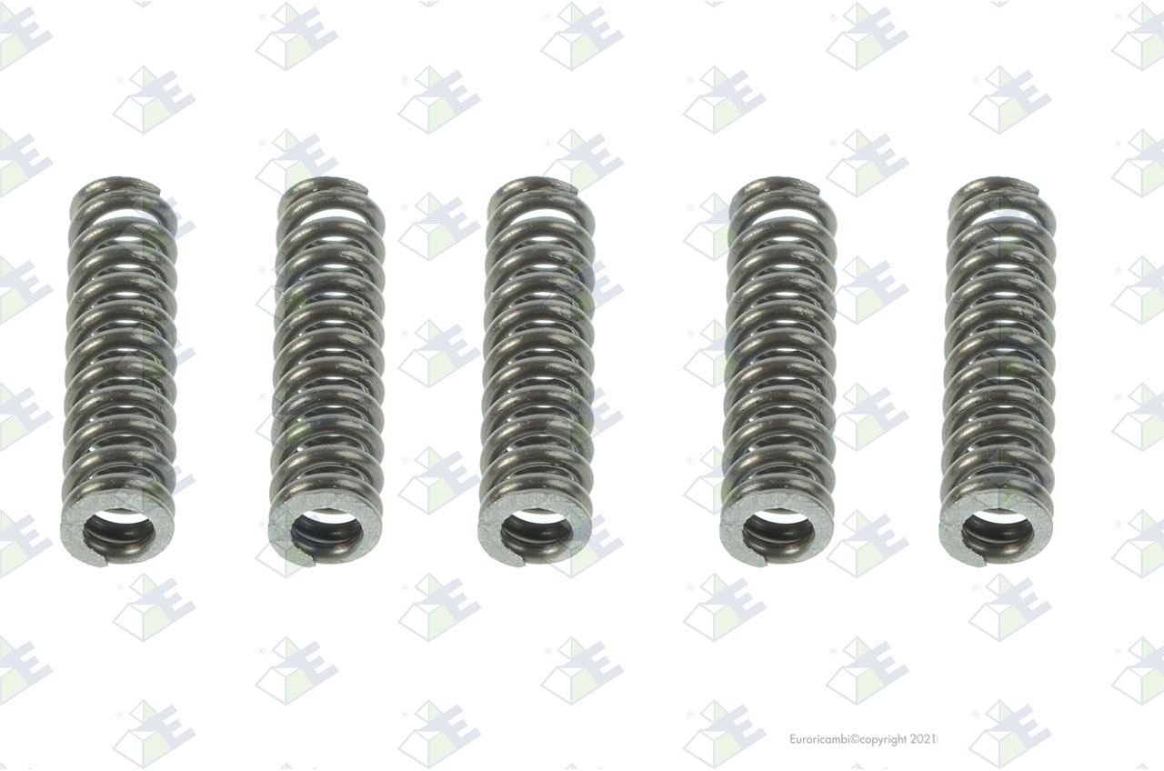 PRESSURE SPRING suitable to EUROTEC 95003492