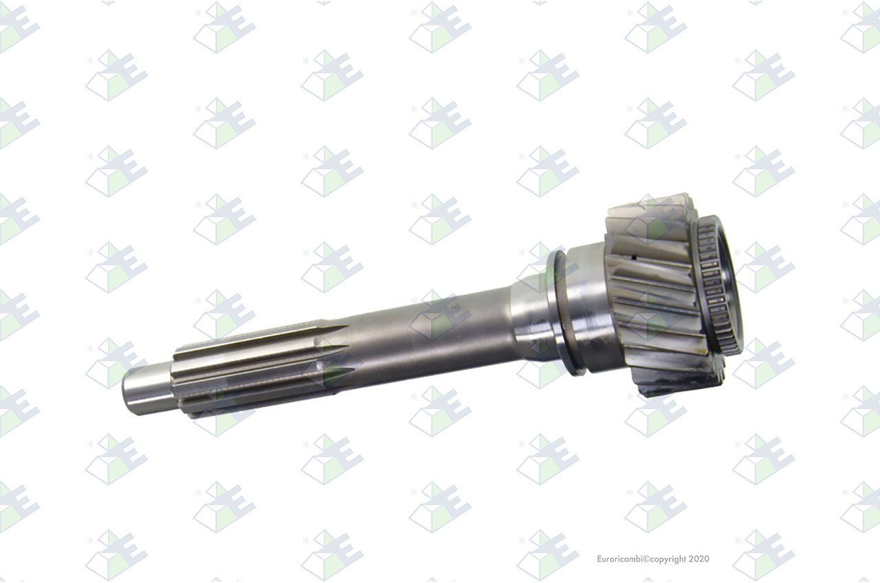INPUT SHAFT 22 T. suitable to AM GEARS 76281