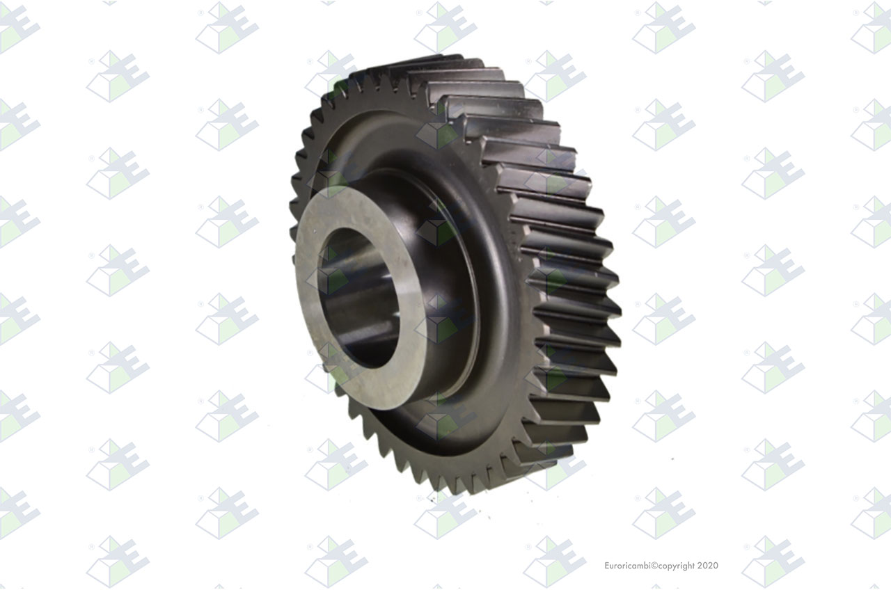 CONSTANT GEAR 43 T. suitable to LEYLAND 100CP2195
