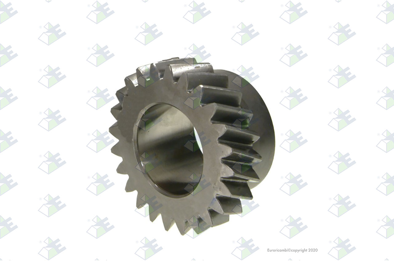 GEAR 3RD SPEED 24 T. suitable to ZF TRANSMISSIONS 1310303072