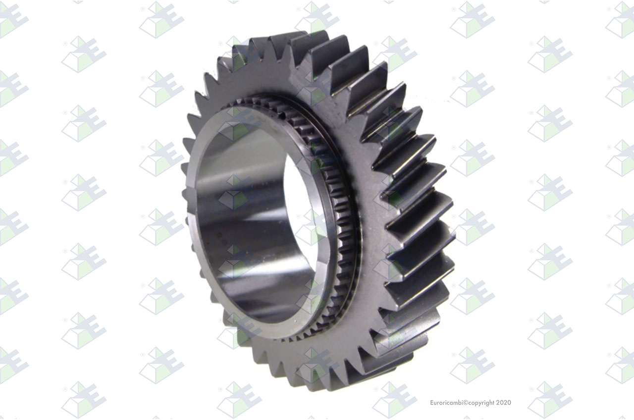 GEAR 36 T. suitable to EUROTEC 95005664