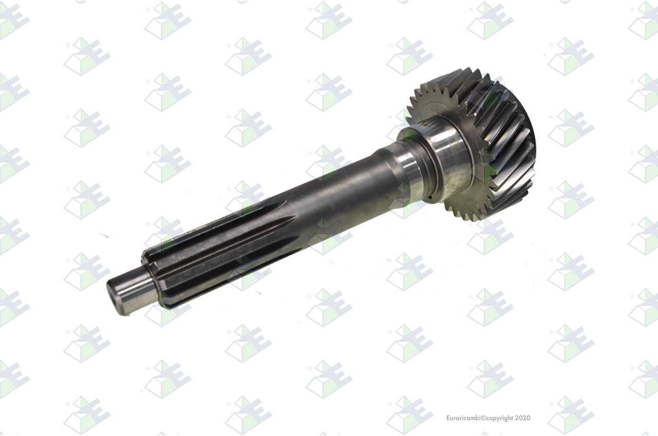 INPUT SHAFT 31 T. suitable to EUROTEC 95006396