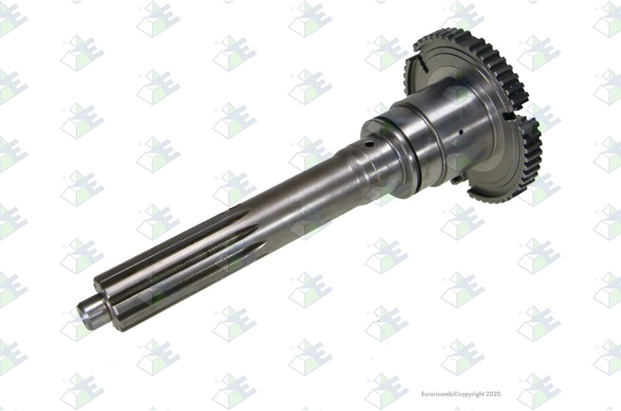 INPUT SHAFT 57 T. suitable to EUROTEC 95006971