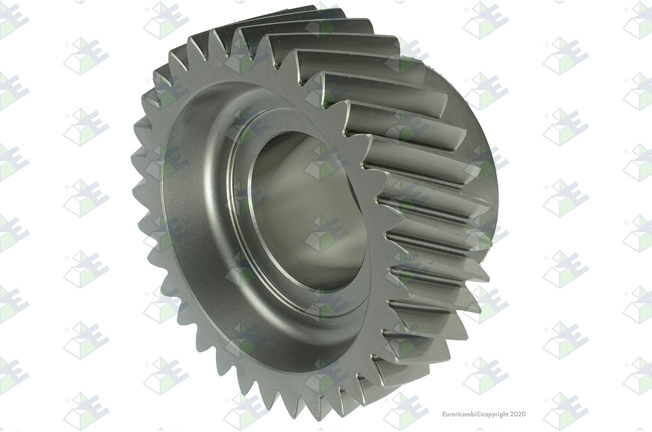 CONSTANT GEAR 33 T. suitable to AM GEARS 72854