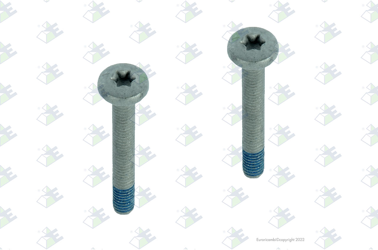 SCREW M6X45 suitable to EUROTEC 95006732
