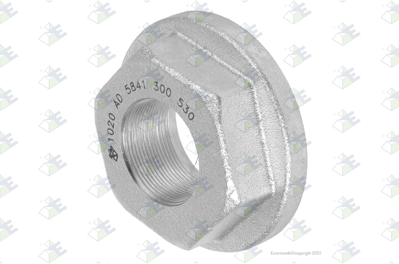 NUT suitable to EUROTEC 95006548