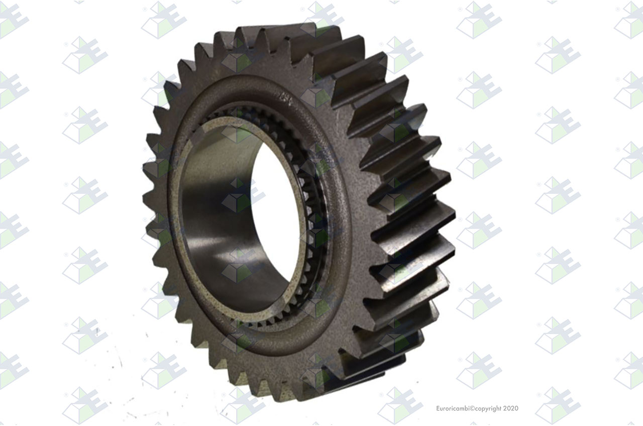 GEAR 1ST SPEED 33 T. suitable to EUROTEC 95001584