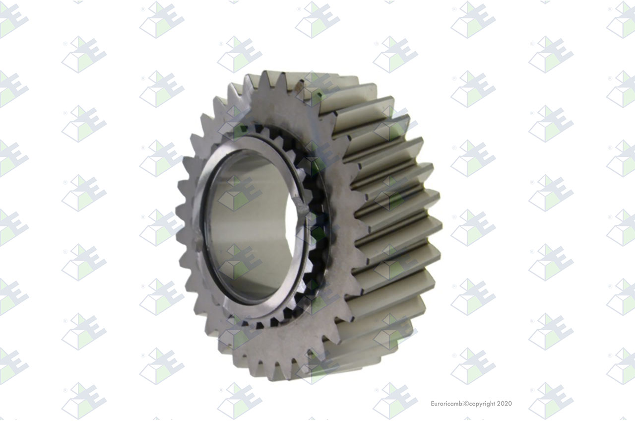 GEAR 1ST SPEED 33 T. suitable to EUROTEC 95001957