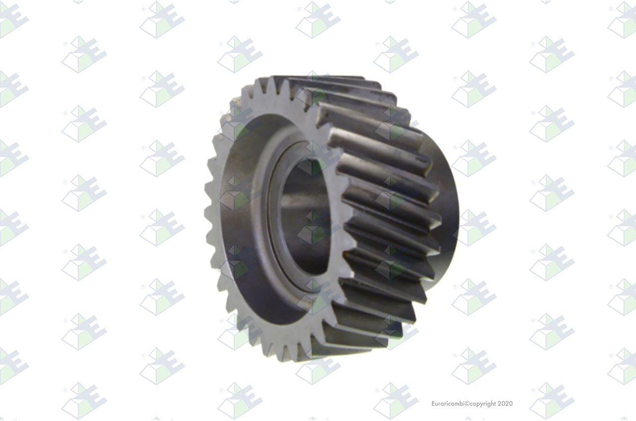 CONSTANT GEAR 31 T. suitable to AM GEARS 72555