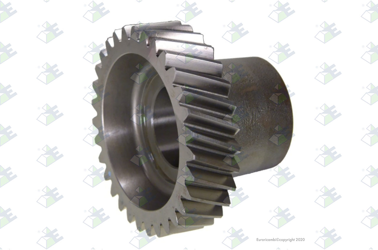 CONSTANT GEAR 31 T. suitable to AM GEARS 72751