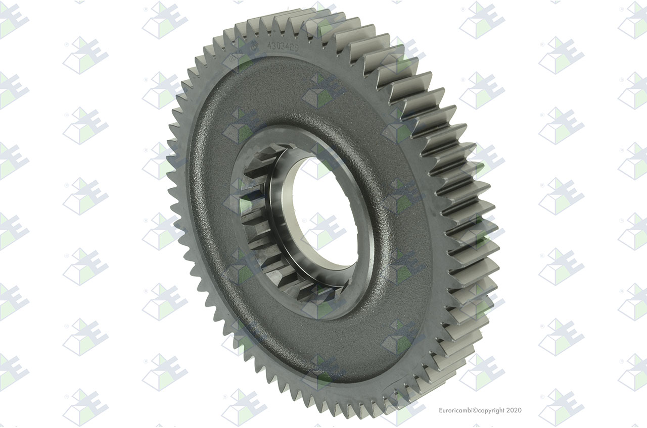 GEAR 1ST SPEED 66 T Euroricambi Group gear-1st-speed-66-t-euroricambi-group